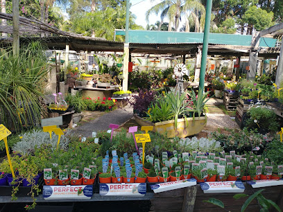 New Leaf Nursery