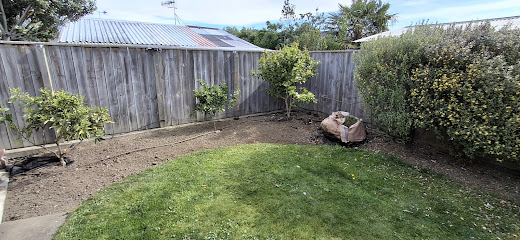 Lawn Moa