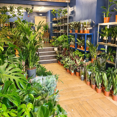 The Jungle Club Plant Shop