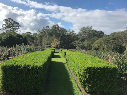 Swane's Nursery