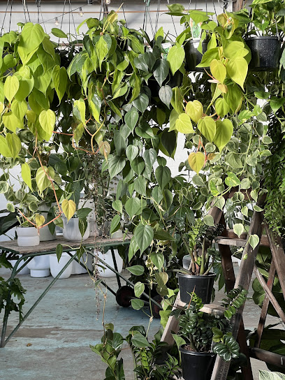 The Borrowed Nursery