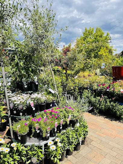 Greengold Nursery