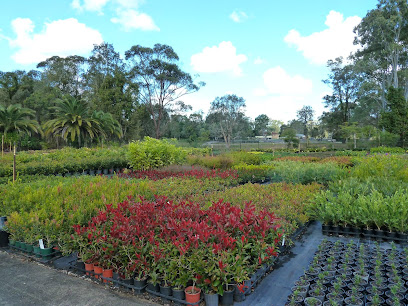 Natural Green Nursery