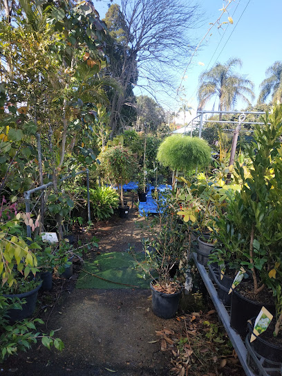 Templex Nursery