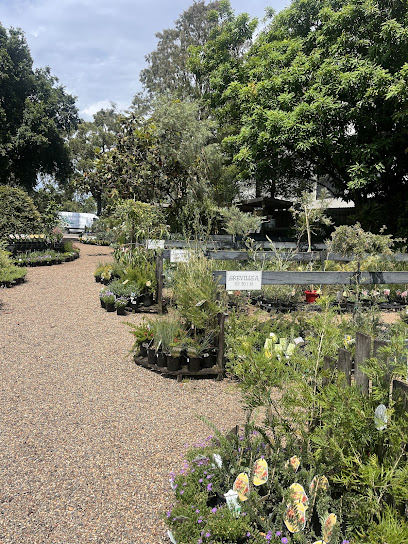 Sydney Wildflower Nursery