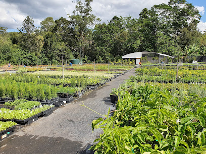 Spectrum Plants
