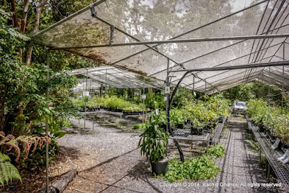 Paten Park Native Nursery