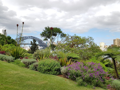 Wendy Whiteley's Secret Garden