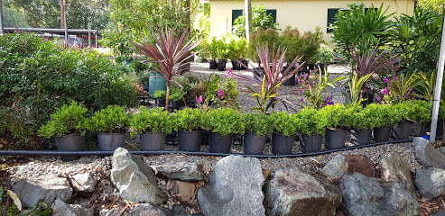 Daly's Native Plants