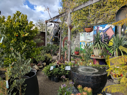 Fitzroy Nursery