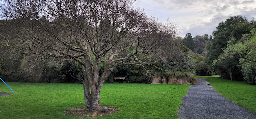 Woodhaugh Garden Pond