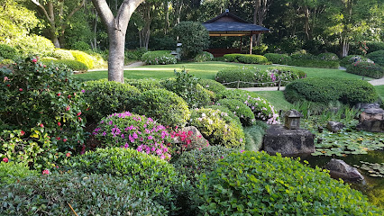 Brisbane Botanic Gardens Mt Coot-tha