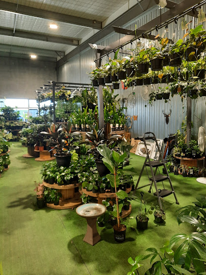 Alpha Creations - Indoor Plant Specialists