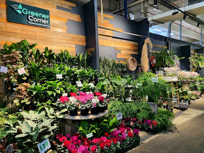 Greener Corner - Melbourne Indoor Plants Nursery