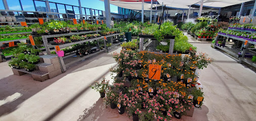 Bunnings Newstead