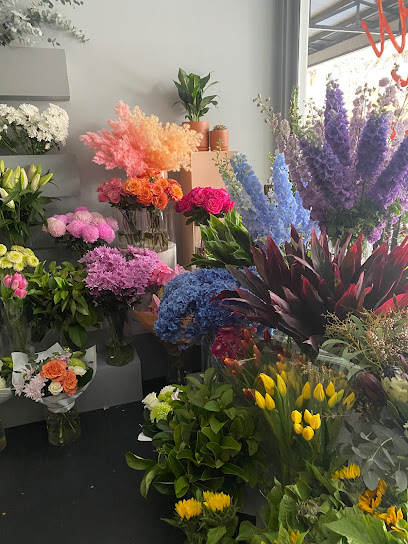 Merchant & Green - Florist - Plant Shop