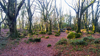 Barna Woods