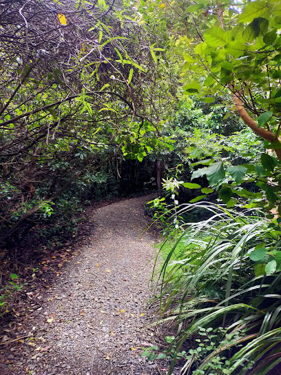 Dunedin Botanic Garden Lovelock Bush