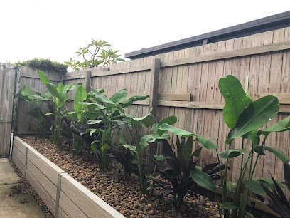 JAX PLANTS