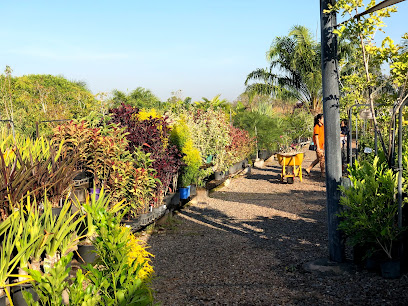 Paradise Nursery