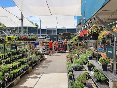 Bunnings Alexandria