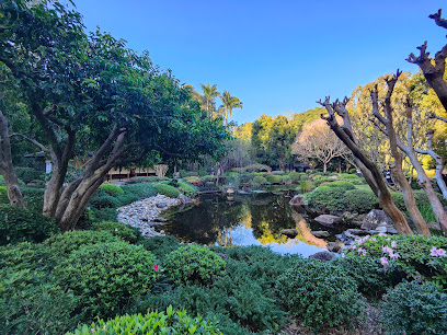 Mt Coot-tha Botanical Gardens Lookout