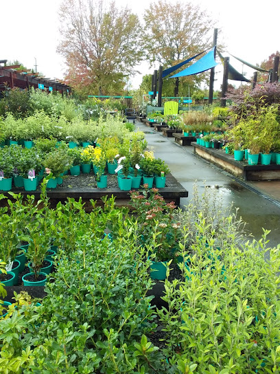 Oderings Garden Centre Napier