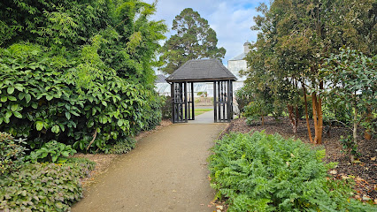 Dunedin Botanic Garden Water Garden