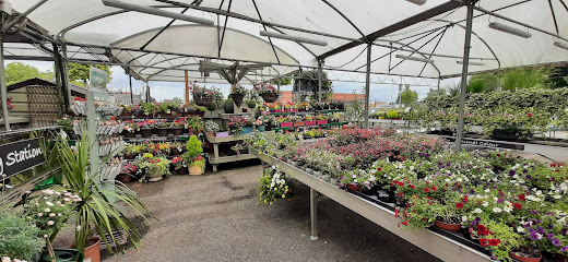 Kiernans Garden Centre