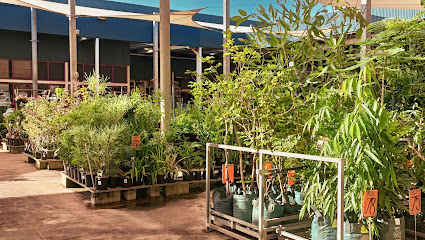 Bunnings Darwin