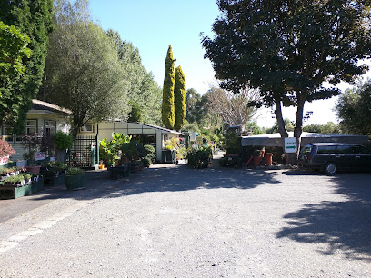 Jervoistown Garden Centre