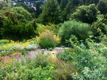 Dunedin Botanic Garden Mediterranean Terrace
