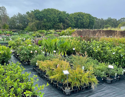 Plantmark Carrara