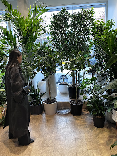West Coast Jungle Plant Store