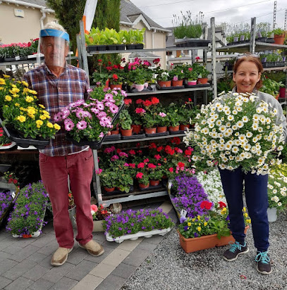 Market Gardening Dundalk