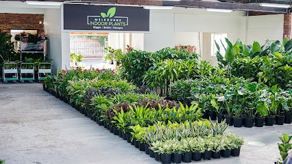 Melbourne Indoor Plants