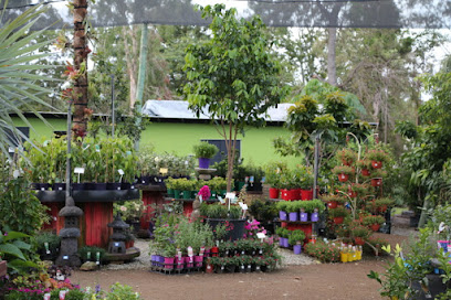 Oxley Nursery