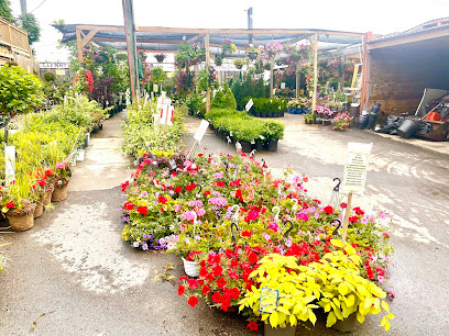 East End Garden Centre