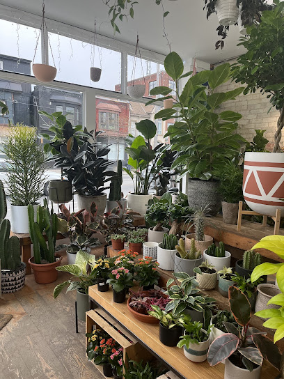 Urban Gardener