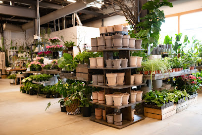 GARDENWORKS North Shore