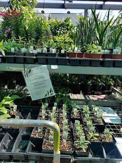 Evergreen Garden Market