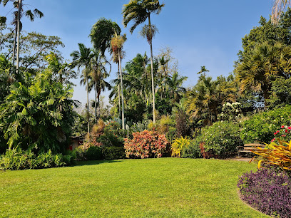 George Brown Darwin Botanic Gardens