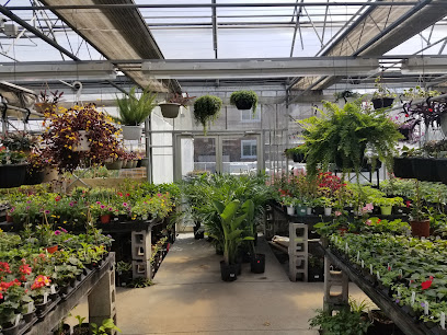 Frank, fleuriste et centre du jardin