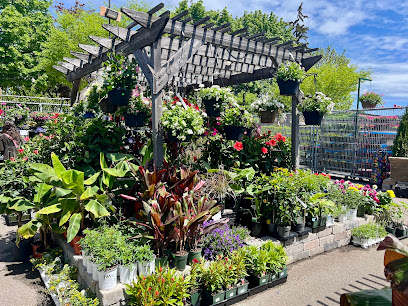 Fiesta Gardens