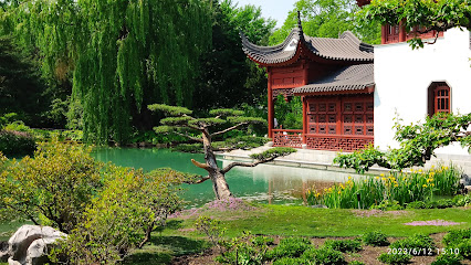 Chinese Garden