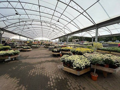 Dobbies Garden Centre Milngavie
