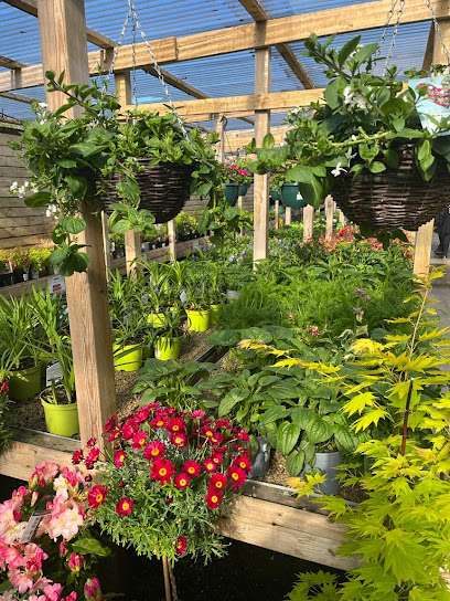McD's Garden & Home Galway