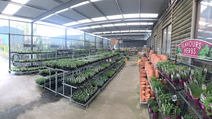 Diaco's Garden Nursery