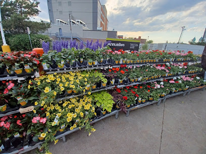Centre jardin extérieur de Home Depot