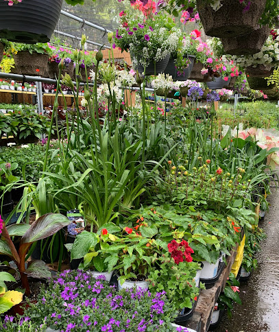 Jay's Garden